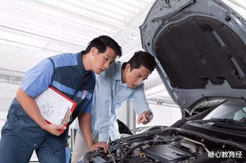 中考分流下的双重心累 教育焦虑与家庭经济的双重压力